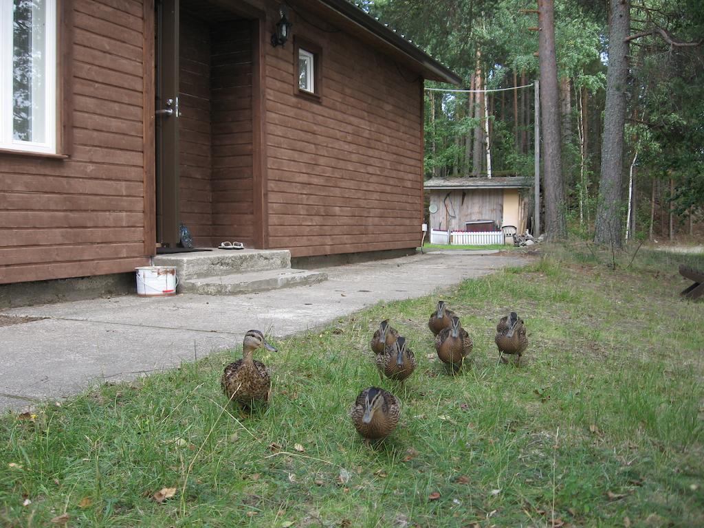 Lomasaaret Cottages Villala Pokój zdjęcie
